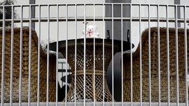 Kasus Covid Bertambah, Selandia Baru Mau Perpanjang Lockdown