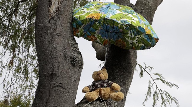 FOTO: Aksi Berburu Teddy Bear Redam Bosan di Selandia Baru