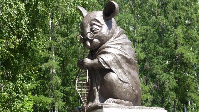 Sosok tikus laboratorium disebut tak kalah penting dengan penemuan ilmiah yang membantu mencerdaskan dunia.