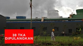 VIDEO: 39 TKA Asal Tiongkok Dipulangkan