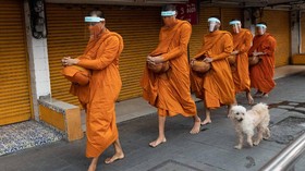 NYALANG: Derap Kaki di Sepotong Pagi