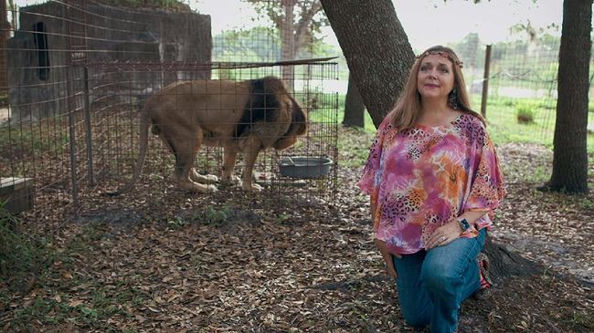 Bintang Tiger King Protes Adegan Harimau di Video Cardi B Bintang dokumenter Tiger King, Carole Baskin, melontarkan protes atas adegan yang menampilkan harimau dalam video kolaborasi Cardi B dan Megan Thee Stallion.