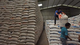 Pemerintah Patok HET Beras di Kisaran Rp10.900-Rp14.800 per Kg