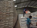 Bulog Salurkan Bansos Beras 900 Ribu Ton Hingga Akhir Tahun