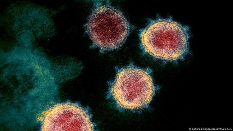 Ada lagi obat yang disebut ampuh melawan virus corona. Namanya Carrimycin, yang yang belakangan ramai diperbincangkan setelah diulas oleh Dahlan Iskan.