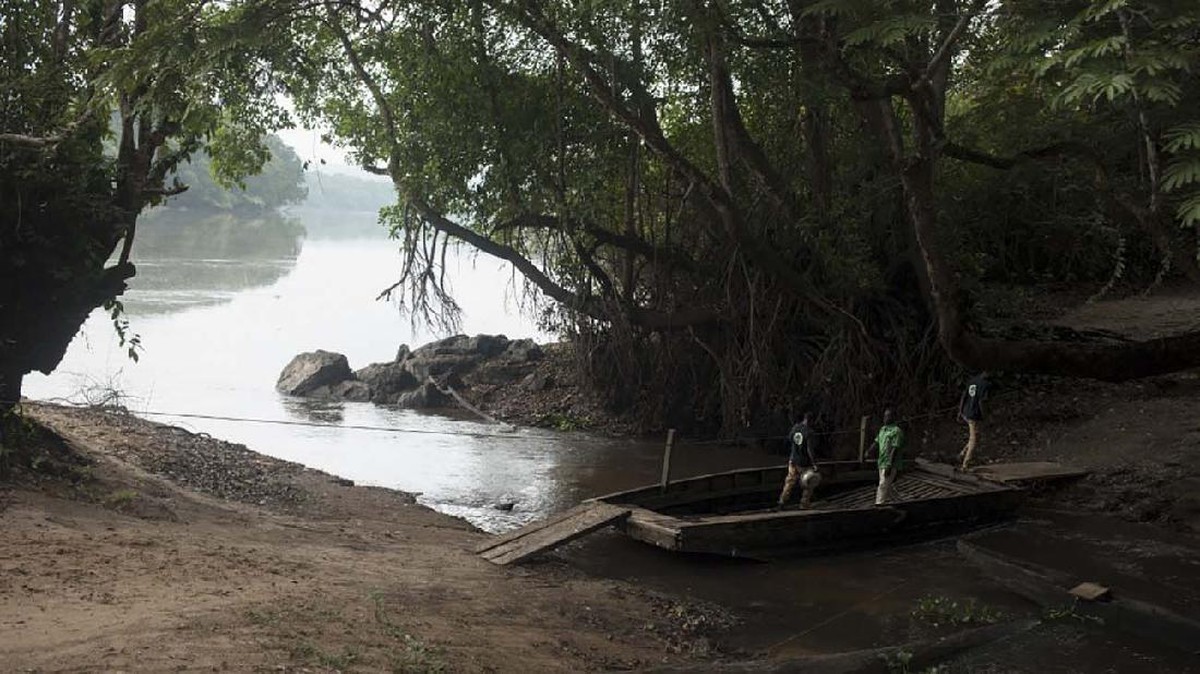 FOTO: Menyelamatkan Trenggiling di Afrika