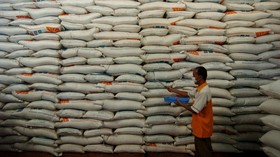 Kementan Ungkap Stok Beras Hingga Juni 7,49 Ton