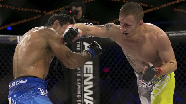 NEW YORK, NY - DECEMBER 31: Justin Gaethje (green/gray trunks) and challenger Luis Firmino (blue trunks) trade punches during their World Series of Fighting lightweight championship fight at The Theater at Madison Square Garden on December 31, 2016 in New York City.   Ed Mulholland/Getty Images/AFP