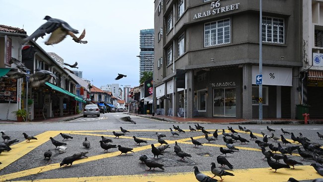 Pigeons feed on the ground on an empty street in Singapore on April 7, 2020, as the country ordered the closure of all businesses deemed non-essential as well as schools to combat the spread of the COVID-19 novel coronavirus. - Singapore's usually bustling business district was almost deserted on April 7 as most workplaces in the city-state closed to stem the spread of the coronavirus after a surge in cases. (Photo by Roslan RAHMAN / AFP)