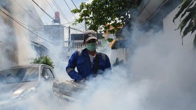 8 Warga Meninggal Diserang DBD, Dinkes Desak Status KLB di NTT