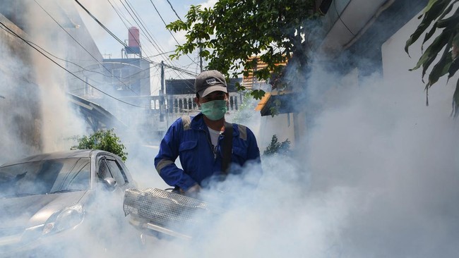 Kasus terbanyak DBD di Jakarta Utara sepanjang tahun ini ada di wilayah kecamatan Tanjung Priok disusul Koja yakni 91 dan 71 pasien.