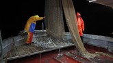 FOTO: Geliat Nelayan Italia di Tengah Tekanan Pandemi Corona Nelayan di Italia masih melaut mencari ikan meski virus corona telah menekan permintaan atas hasil tangkapan mereka.