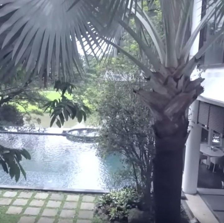 <p>Rumah mewah Momo terdiri dari lima lantai. Ruangannya dibuat terbuka dengan halaman luas, banyak pohon dan tanaman. (Foto: Momo YouTube Channel)</p>