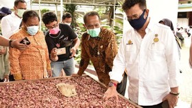 Pandemi Covid-19, Mitra Pasar Tani Tetap Layani Masyarakat