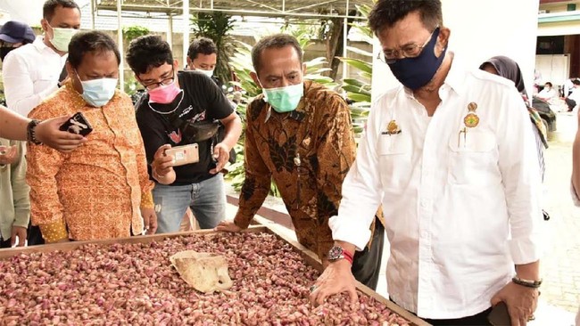Tak hanya di provinsi, Pasar Mitra Tani/TTIC Kementan akan digerakkan juga di daerah kabupaten dan kota.