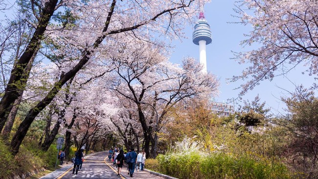 Korea Selatan masih menjadi yang terbaik dalam rata-rata kecepatan download dengan jaringan 5G.