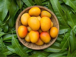 7 Buah dan Sayur yang Mengandung Vitamin E