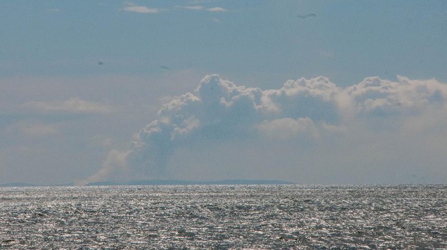 Gunung Anak Krakatau dilaporkan erupsi Selasa (26/10) siang. Masyarakat pun diminta tak mendekati kawah dalam radius 2 kilometer.