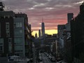 FOTO: Sunyi New York saat Pandemi