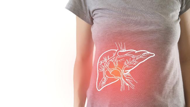 Jaga kesehatan liver dengan menerapkan pola hidup sehat dan menghindari kebiasaan yang merusak liver. Berikut kebiasaan yang merusak liver.