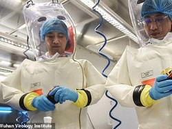 7 Fakta Menarik Laboratorium Virus Berbahaya di Wuhan