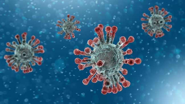 Fakta Mutasi Virus Corona D614g Tak Mempan Pakai Vaksin