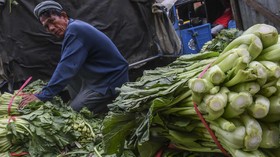 Sayuran Makin Mahal di Pasar DKI Jakarta