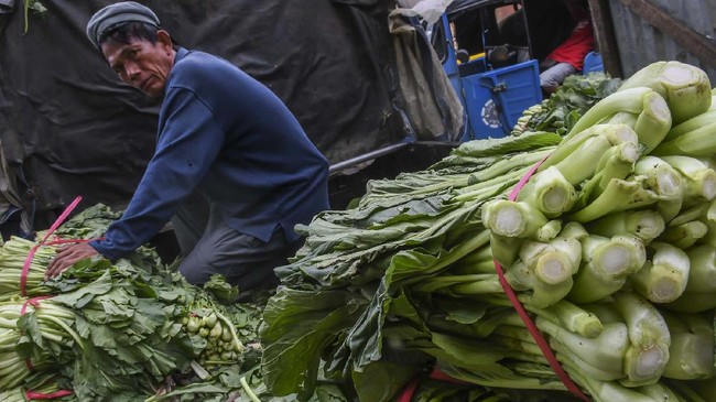 Harga sayuran naik di sejumlah pasar tradisional di DKI Jakarta. Kenaikan harga terjadi pada sawi putih, sawi hijau, pakcoy, hingga selada.