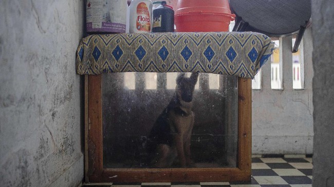 FOTO: Virus Corona Hantui Si Miskin di Maroko