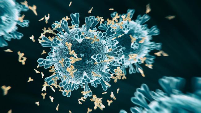 Abs COVID-19 antibody - 3d rendered image structure view on black background. 
Viral Infection concept. MERS-CoV, SARS-CoV, ТОРС, 2019-nCoV, Wuhan Coronavirus.
Antibody, Antigen, Vaccine concept.