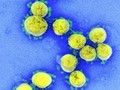 Identifikasi Mutasi Virus Inggris di RI Mulai Pekan Ini