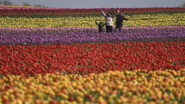 People pose for photos in a tulip field as the sun shines in Grevenbroich, western Germany, on April 14, 2020. (Photo by Ina FASSBENDER / AFP)