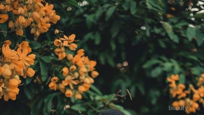 4 Tips Membeli Masker Rambut yang Sesuai dengan Kondisi Rambutmu