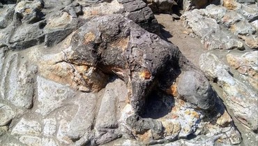 img-title Viral! Heboh Patung Malin Kundang yang Disebut Palsu