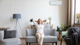 8 Tanaman Hias untuk Ruangan Ber-AC