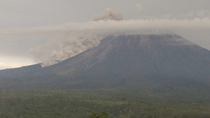 Gunung Semeru mengeluarkan guguran awan panas (Foto: Nur Hadi Wicaksono/detikcom)