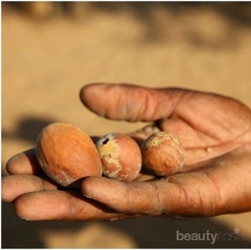 img-title Wah! Ternyata Ini Manfaat Marula Oil untuk Kecantikan