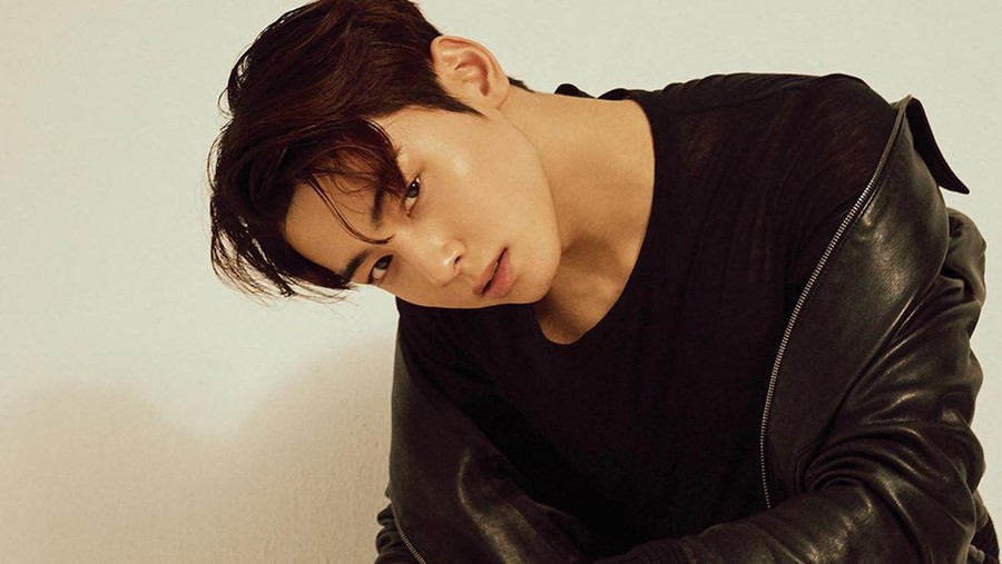 Cha Eun Woo