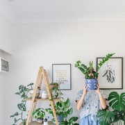 Bingung Menghias Rumah? 5 Tanaman Kekinian Ini Bisa Kamu Tanam Dalam Ruangan