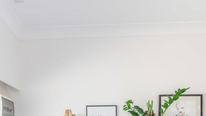 Bingung Menghias Rumah? 5 Tanaman Kekinian Ini Bisa Kamu Tanam Dalam Ruangan