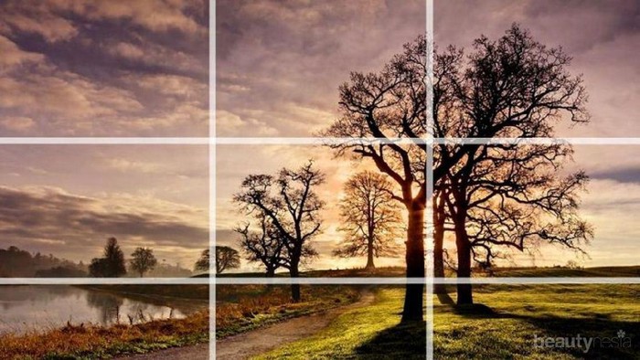 Belajar Fotografi dengan Smartphone? Ikuti Langkah-Langkah Ini!