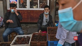 VIDEO: Dirjen WHO Minta Pasar Basah Penuhi Standar Kebersihan