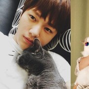 Super Gemas, 6 Selebriti Pria Korea Ini Ternyata Pecinta Kucing, Lho