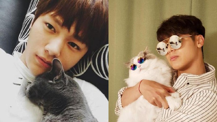 Super Gemas, 6 Selebriti Pria Korea Ini Ternyata Pecinta Kucing, Lho