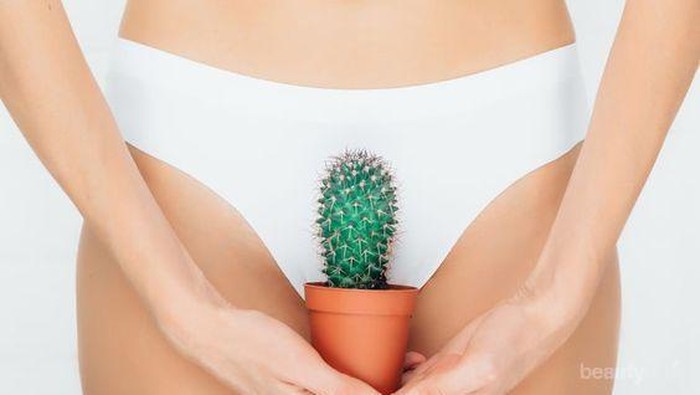 Vagina Terasa Gatal? 5 Hal Ini Bisa Jadi Pemicunya