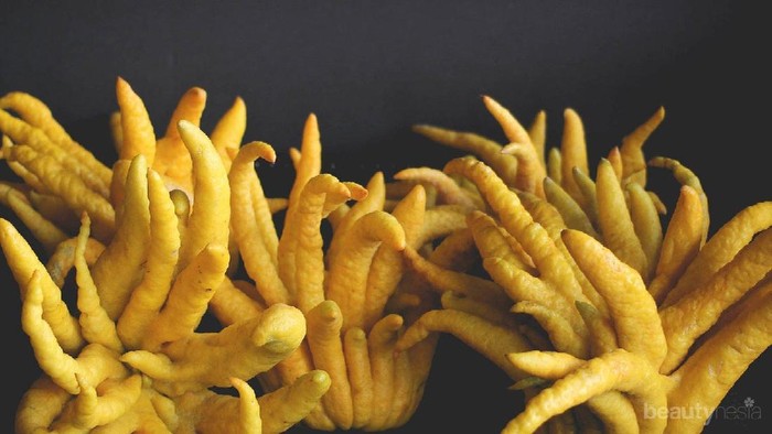 Mengenal Jeruk Jari Buddha, Buah Kuning yang Unik dan Kaya Manfaat Mengenal Jeruk Jari Buddha, Buah Kuning yang Unik dan Kaya Manfaat