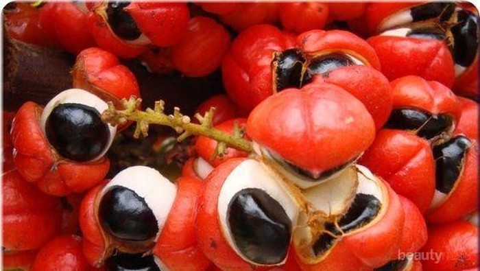 Jangan Sampai Kamu Makanan, Ini Buah Paling Berbahaya di Dunia