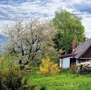 Jangan Cuma Mimpi, Ini 6 Tips Bisa Membeli Rumah di Usia Muda