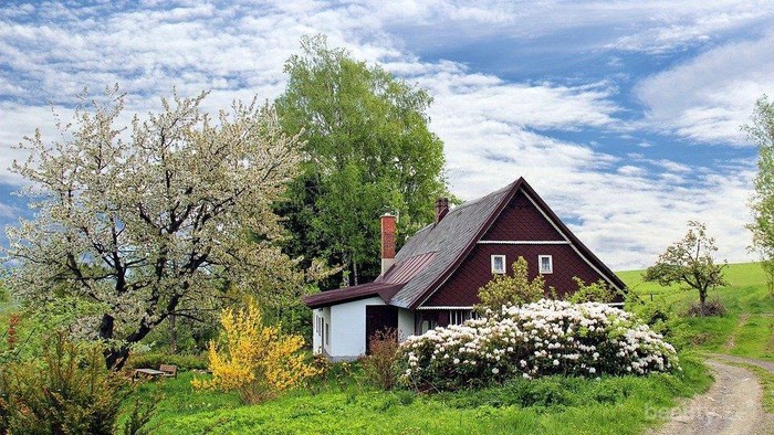 Jangan Cuma Mimpi, Ini 6 Tips Bisa Membeli Rumah di Usia Muda