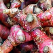 Dianggap Bisa Cegah Corona, Apa Manfaat Jahe Merah untuk Kesehatan?